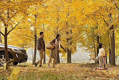 《铁拳8》全新预告 展示角色“风间准”