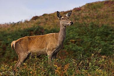 剧情驱动3D冒险游戏《Inner Truth》Steam页面 年内发售