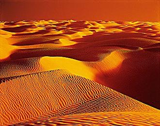 《真人快打12》或于2023年发售 近半年将公布消息