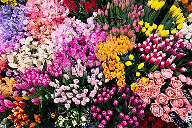 多人合作农场模拟冒险游戏《露玛岛》已推出试玩Demo 正式版11月21日发售